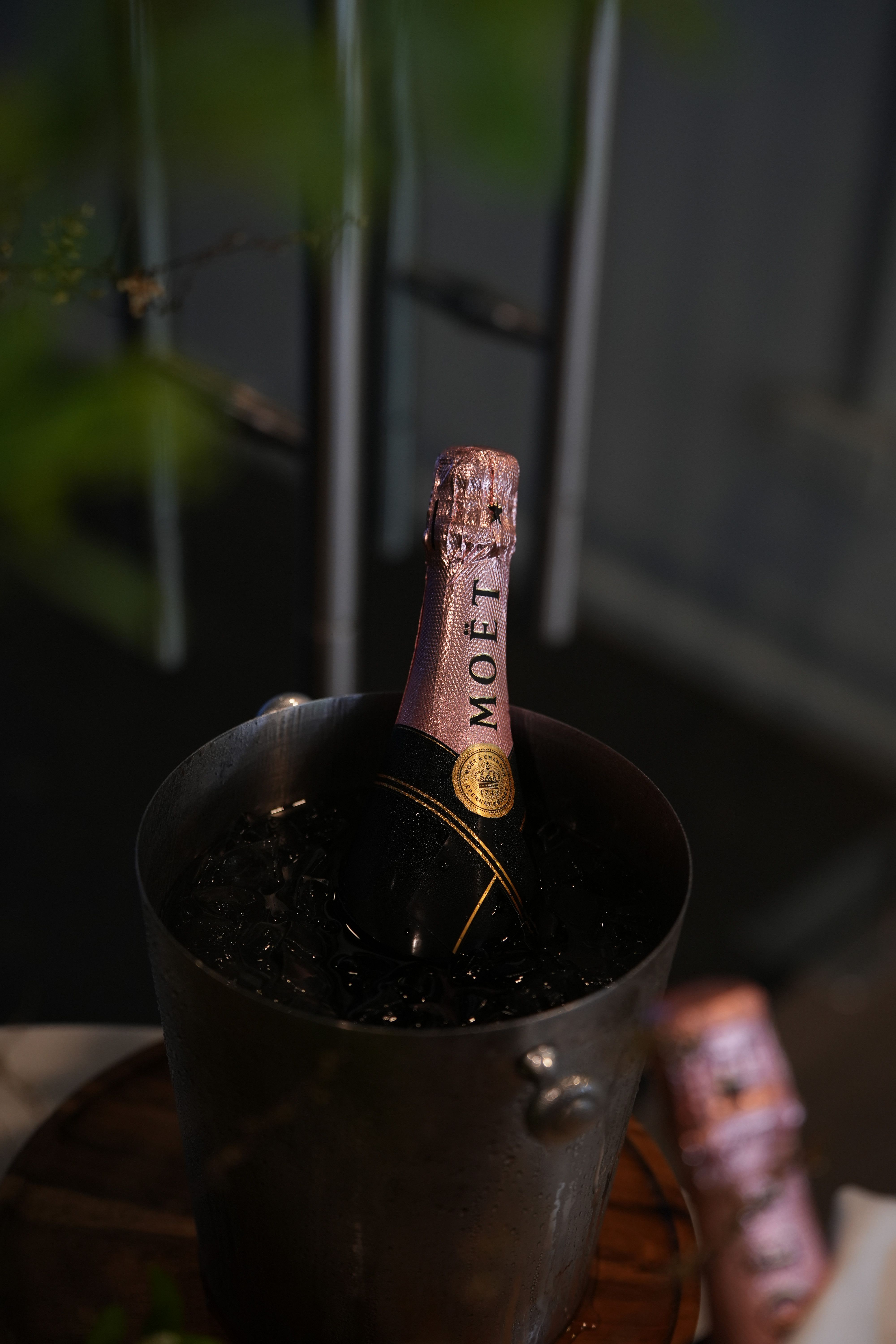 Moët & Chandon ในถังน้ำแข็ง — Workshop
